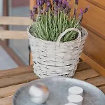 Grace Ii *